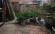 thum-m_TzyVQ1Eswc_1653296818.jpeg