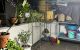 thum-8632370_SdrUva5Beb_1653361453.jpg