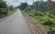 thum-8634662_2s6BD5C0tx_1653442870.jpg