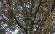 thum-8634877_RkzmNKjoFe_1653447669.jpg