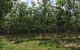 thum-8635715_psBTr1aUyE_1653470056.jpg