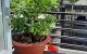 thum-8635973_A1idD3zSL6_1653489964.jpg