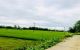 thum-m_M56q9QLC7S_1653468091.jpg