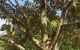thum-8637913_SusQdUaxX4_1653547459.jpg
