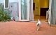 thum-8638674_XMtfpOv8kq_1653564144.jpg