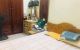 thum-8638829_mQMvpLYoBu_1653581596.jpg
