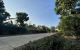 thum-m_YGXknv06Rl_1653530006.jpg