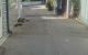 thum-8638880_iGk6JDhKX0_1653585135.jpg