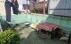 thum-8640913_cCRvI4Zojr_1653646262.jpg
