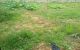 thum-8641008_oIlmD5hc1K_1653659325.jpg