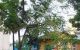 thum-m_lOchF8BgKn_1653635930.jpg