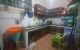 thum-m_xM1oXiC06y_1653660720.jpg