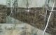 thum-8641891_noVlPf80w7_1653703842.jpg