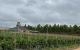 thum-8641902_v0UhyfOzL2_1653703936.jpg