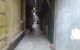 thum-m_l7TniDQPWL_1653804331.jpg