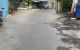 thum-8646209_z89AK3DfFs_1653876105.jpg