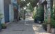 thum-8647785_3orpmMZhcT_1653923475.JPG