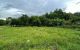 thum-m_iJ5oSTxckp_1653878839.jpeg