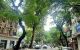 thum-m_xnGueMBr72_1653918717.jpg