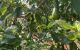 thum-8650285_PpiGHQ6sNE_1653986180.jpg