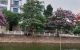 thum-m_p2GZOuKTID_1653955843.jpg