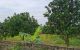 thum-8651727_bF2w1XgOAP_1654050312.jpg