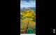 thum-8652709_fPsY8J7TR6_1654073953.png