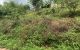 thum-m_Na69RozQhE_1654057546.jpg