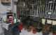 thum-8653905_u24OqagoHL_1654135097.jpeg
