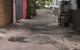 thum-8655074_lSUYcEFbGe_1654161384.jpg