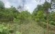 thum-8655397_Epmu2fOsYJ_1654181570.jpg