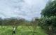 thum-8655397_ultobw29EI_1654181551.jpg
