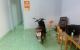 thum-m_5RUQt469XJ_1654178987.jpg