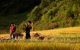 thum-m_L2S4F9XJ5Z_1654140787.jpg
