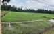 thum-m_MSPNqLAdF3_1654161342.jpg