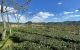 thum-m_rmNx3IsMcL_1654162032.jpg