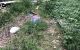 thum-8656594_SeEjAQryM1_1654225476.jpg
