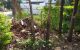 thum-8657307_UsQ2qeu3jF_1654244981.jpg