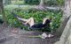 thum-8657709_GaVUif3Y1h_1654270114.jpeg