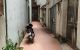 thum-m_L1BtxMV7qA_1654322417.jpg