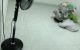 thum-8660923_Wd8jtaJqux_1654414514.jpg