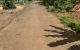 thum-8662525_y6IgUr0qtu_1654477188.jpg