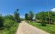 thum-m_1dkFt8QNK4_1654504546.jpg