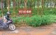 thum-m_CHZ8PJaWuv_1654504349.jpg