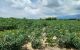 thum-m_KCbZ0HUABM_1654516479.jpg