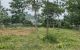 thum-8664695_RvF39tZW8w_1654566400.jpg