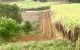 thum-8664734_a0FbKX1dBm_1654566825.jpg