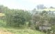 thum-m_6zwDsK8gmH_1654566821.jpg
