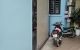 thum-8667609_JYaM3TBzcL_1654661966.jpg