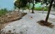 thum-8667621_zX72TF8meo_1654662367.jpg